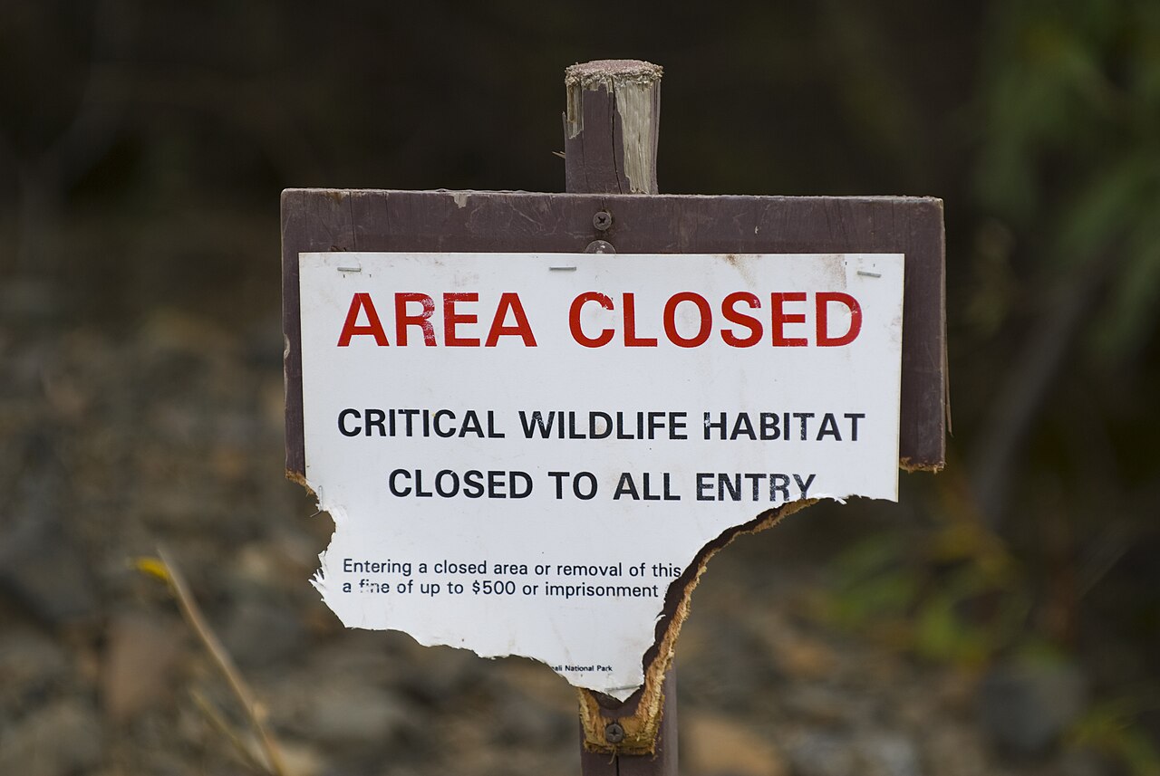 Environmental Protection graphic