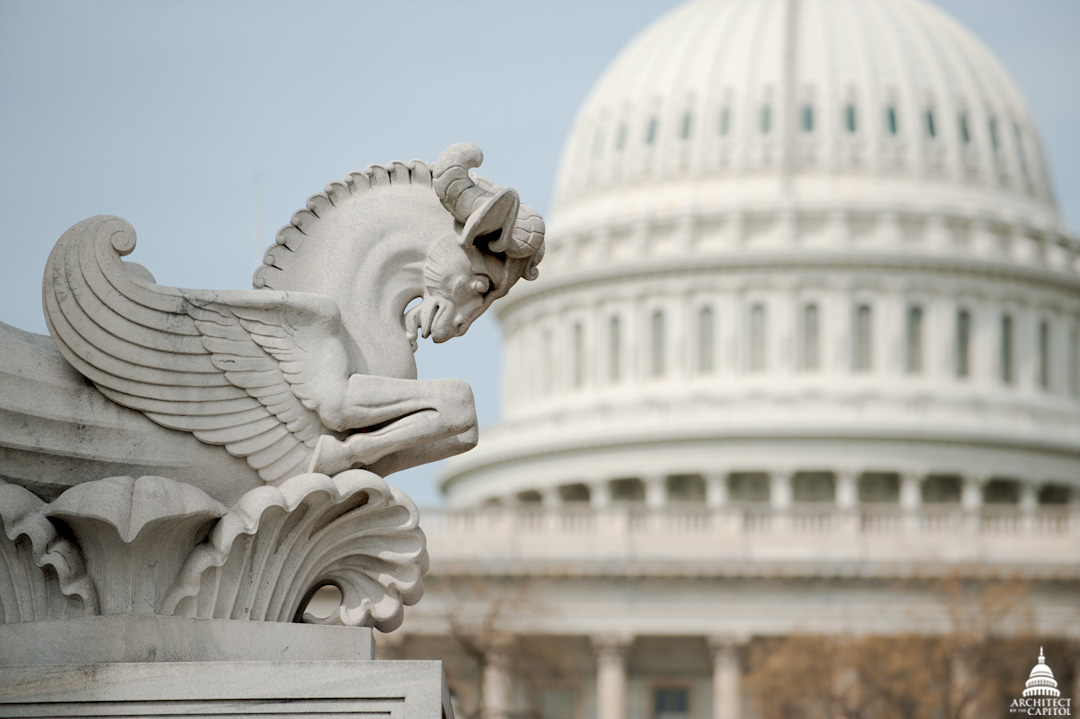 Congress graphic